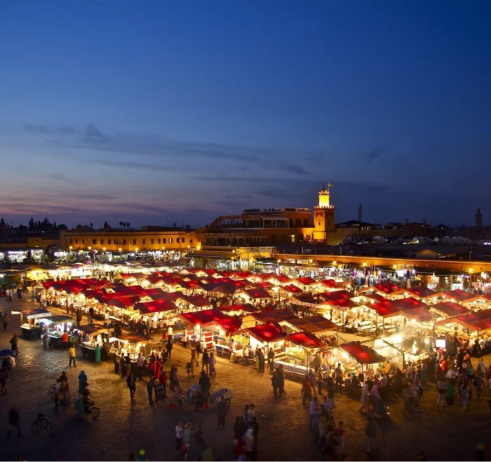 Agadir to Marrakech Day Trip