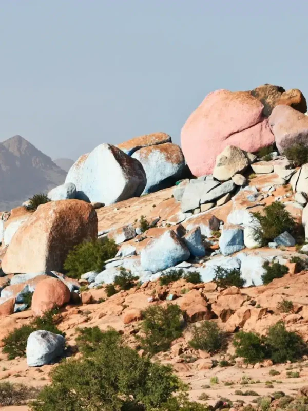 Agadir to Tafraoute Day Trip