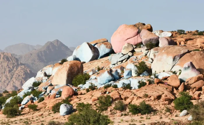 Agadir to Tafraoute Day Trip