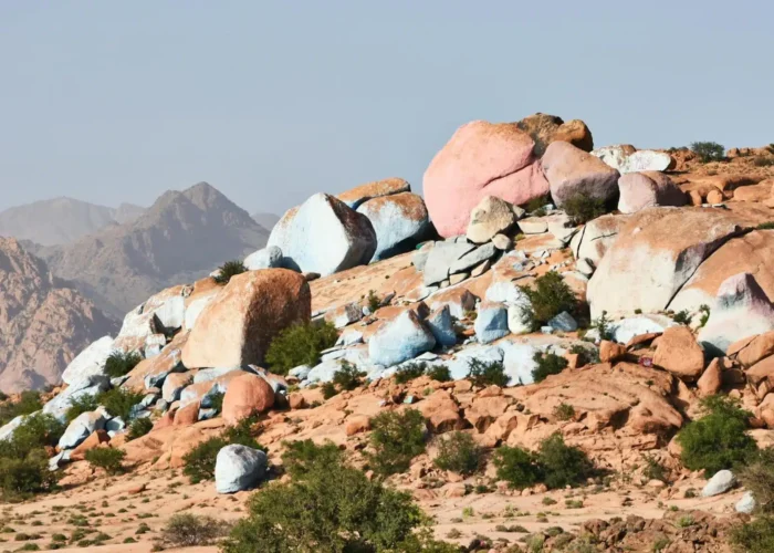 Agadir to Tafraoute Day Trip