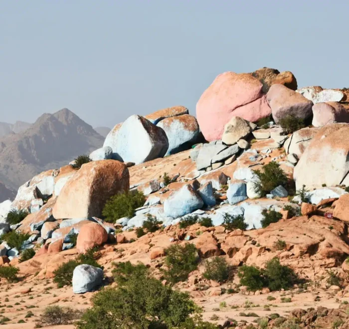 Agadir to Tafraoute Day Trip