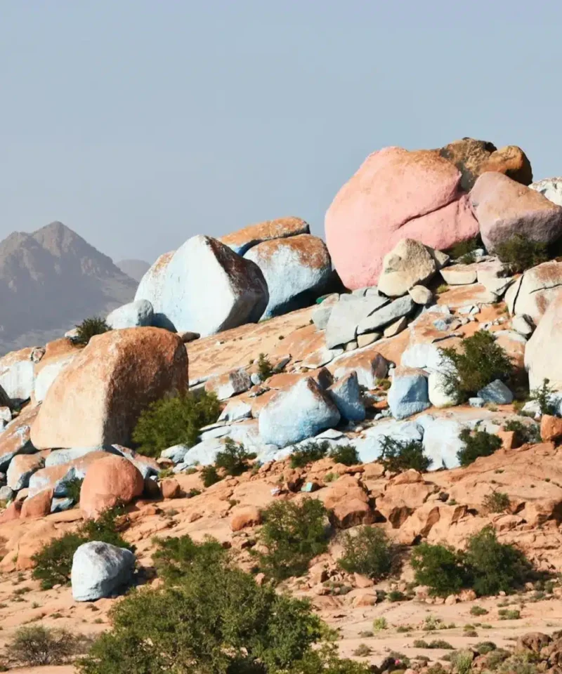 Agadir to Tafraoute Day Trip
