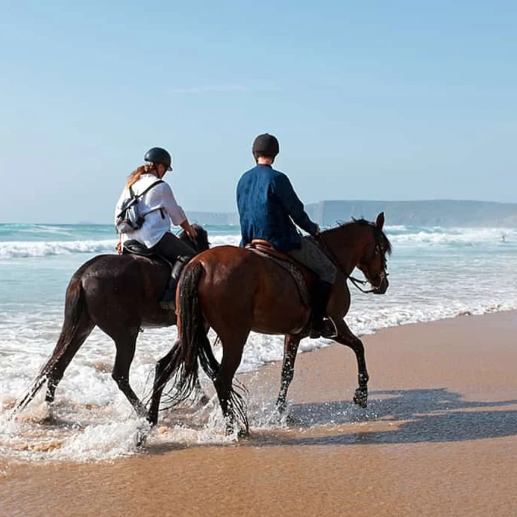 Agadir Flamingo River Horse Ride
