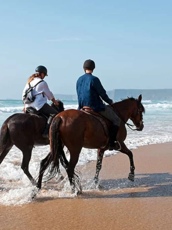 Agadir Flamingo River Horse Ride
