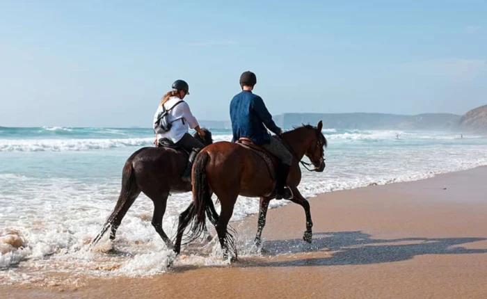 Agadir Flamingo River Horse Ride