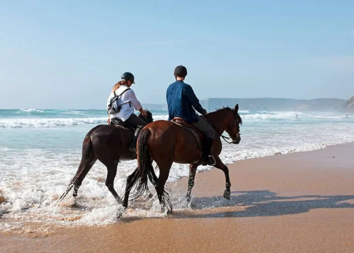 Agadir Flamingo River Horse Ride