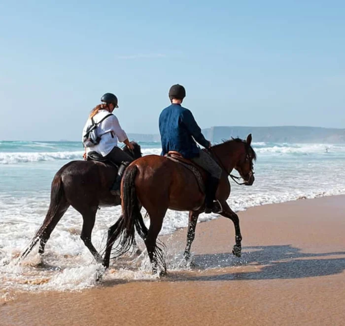 Agadir Flamingo River Horse Ride