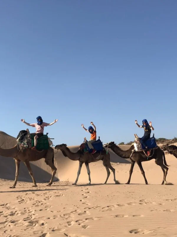 Agadir Camel Ride with Barbecue