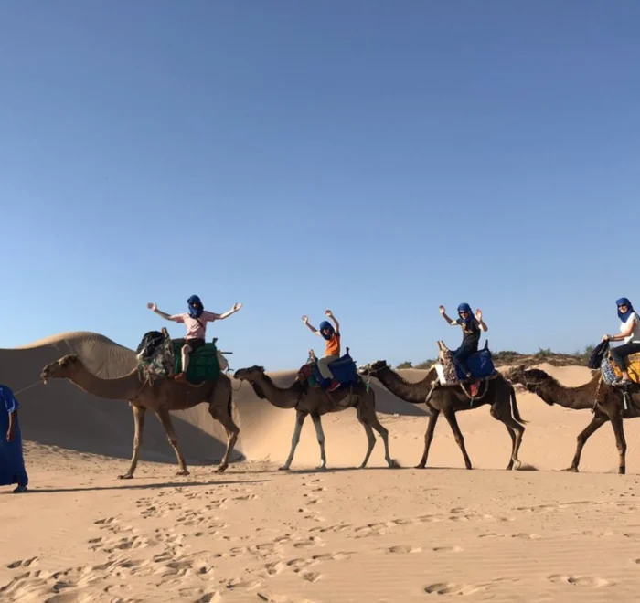 Agadir Camel Ride with Barbecue