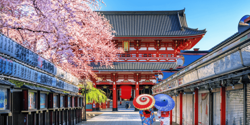 Tokyo: Private Cherry Blossom Experience - the best of ancient & modern Japan - Image 3