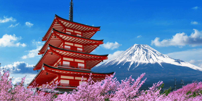 Tokyo: Private Cherry Blossom Experience - the best of ancient & modern Japan - Image 2
